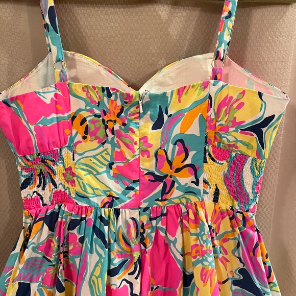 Lilly Pulitzer Christine Besame Mucho Smocked Poplin Fit & Flare Dress Sz10 - Picture 7 of 16